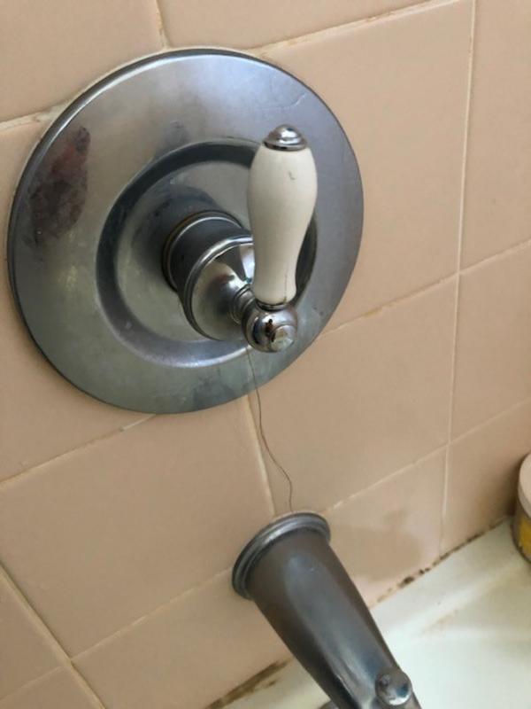 Leaky Shower Valve Identification