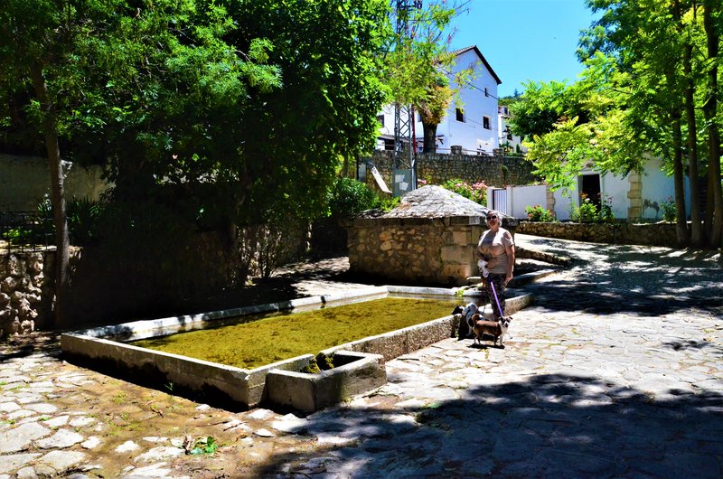 Madrid y sus pueblos-2000/2022 - Blogs of Spain - OLMEDA DE LAS FUENTES-5-6-2020 (65)
