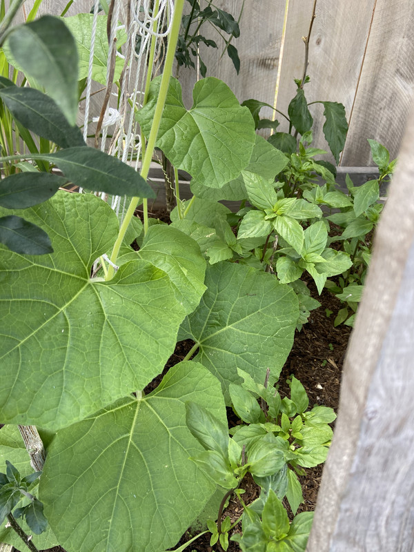 7A703FA2-BF59-48B7-8B55-B8F11FE79E38