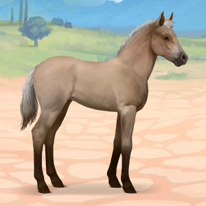 Screenshot-2025-09-04-at-20-19-05-Aspen-III-Poulain-Fjord-Brunblakk-53893811-Equideow-Gaia.png