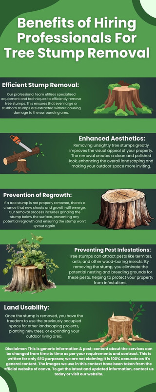 Benefits of Hiring Professionals For Tree Stump Removal jpg — Postimages