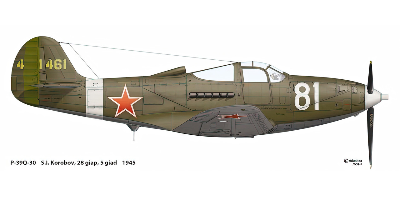 Bell-P-39Q-Airacobra-28GvIAP-5GIAD-White-81-SI-Korobov-Baltic-and-Leningrad-Fronts-1945-0A