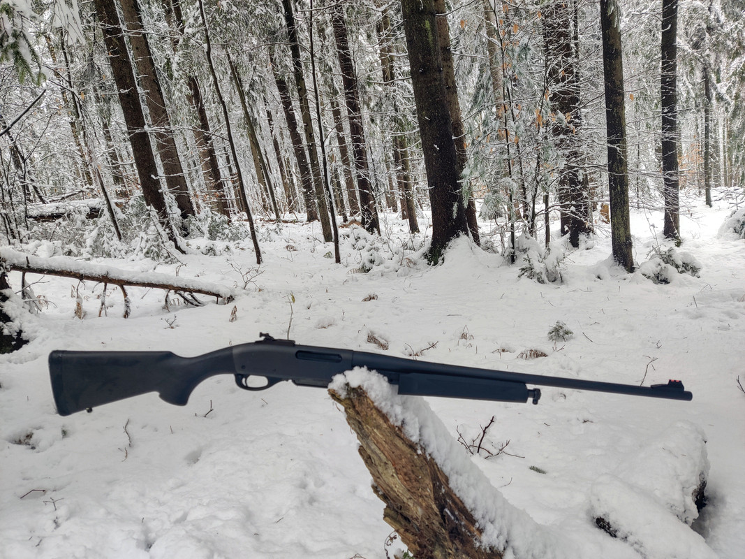 IMG_20241122_122738~2