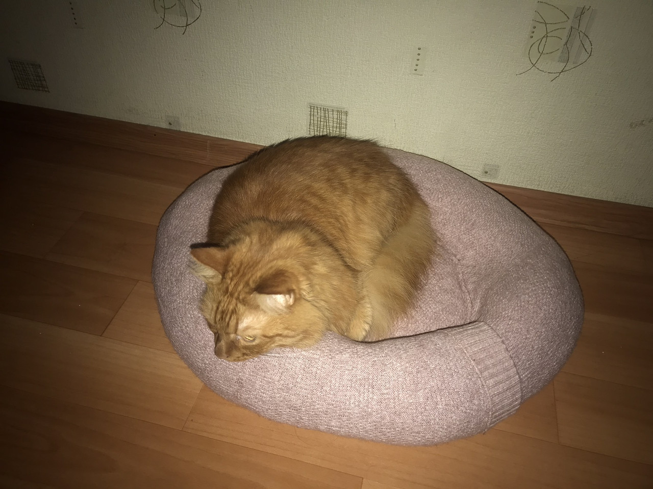 изображение viber 2026 01 12 14 00 57 223