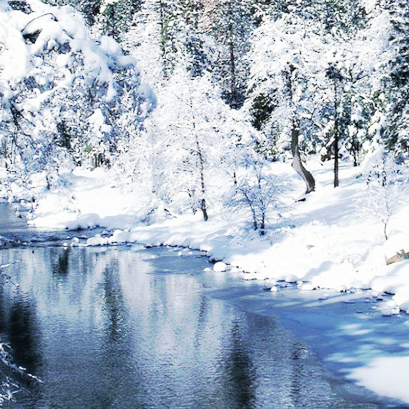 Clockwork Xmas Papers (1)