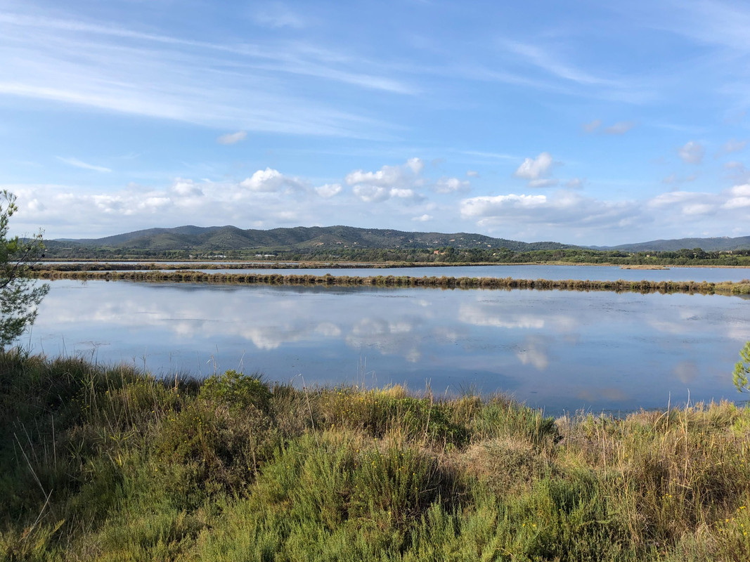 79D05401-A792-45E0-88EB-33B85AF37741