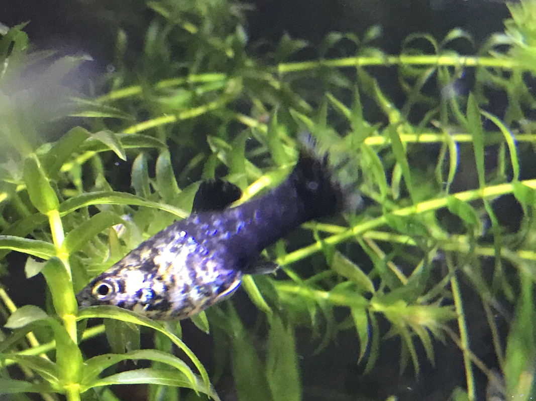 561A2CC1-4542-404F-8776-462E5BE4247C