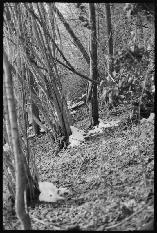 Leicaflex Standard_01gen2022_07 (866x1280)