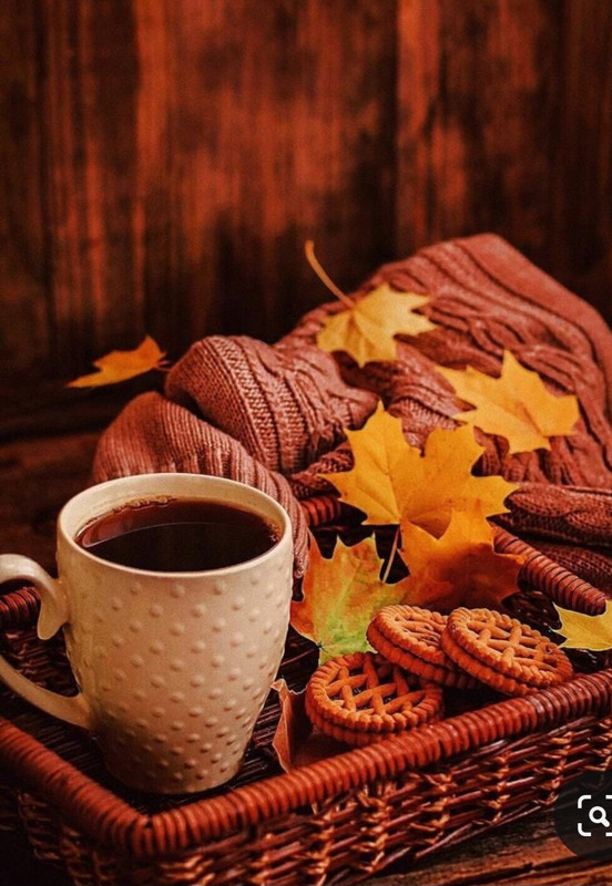 Screenshot_20231128_001543_Pinterest