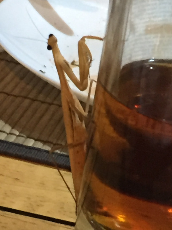 BC4733B5-012E-4600-B57B-53C03389FF93