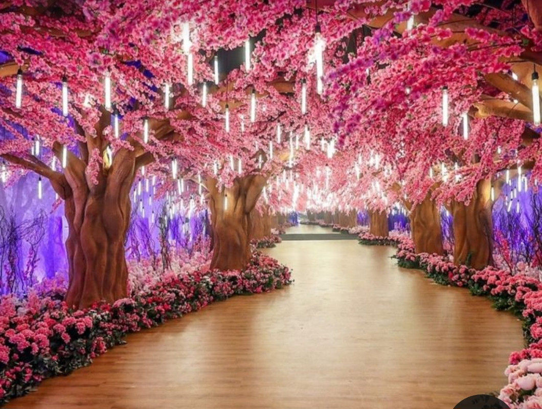 Screenshot_20230327_225309_Pinterest