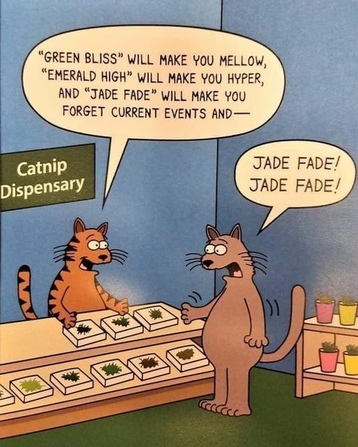 cat-catnip-dispensery.jpg