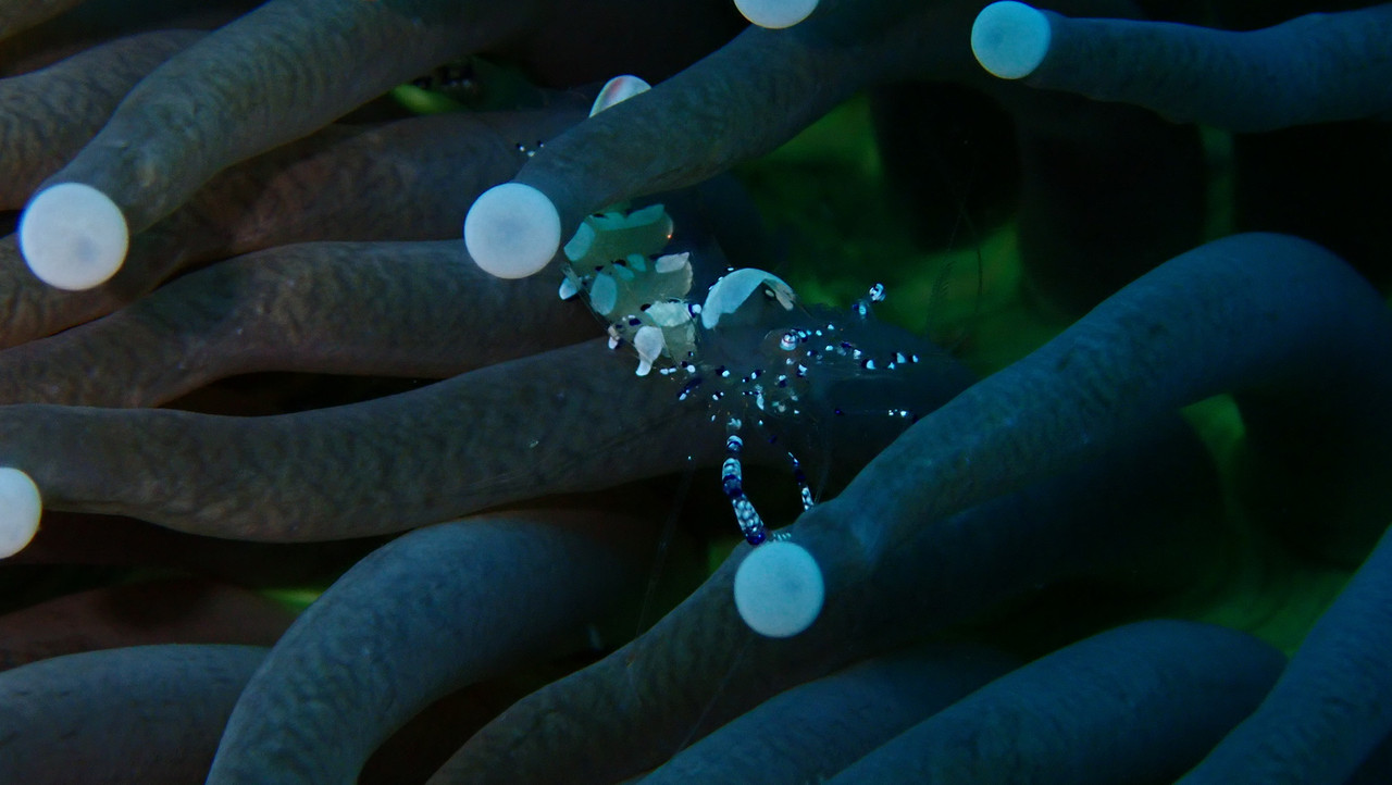 F1277316-9297-4FA1-86C4-DB2D17D8D6DC