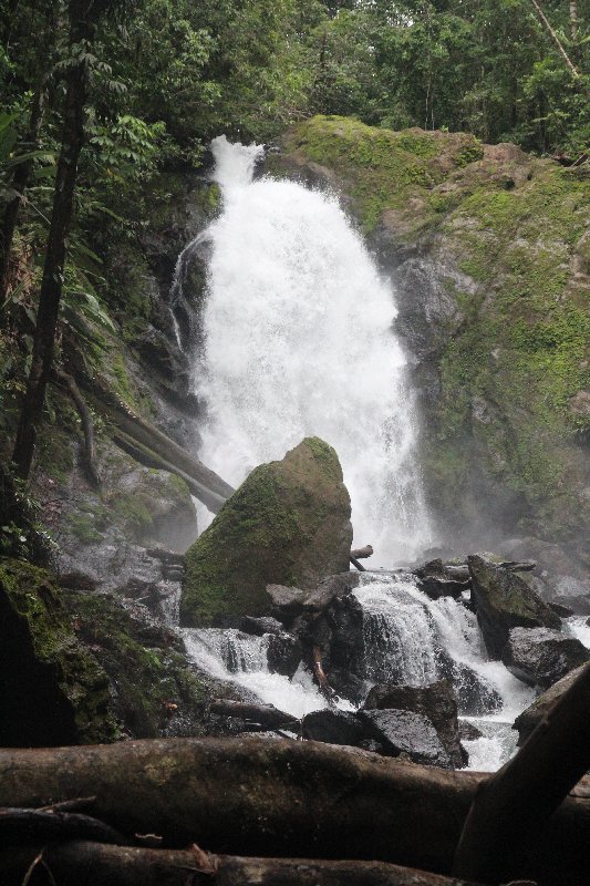 DE TORTUGAS Y PEREZOSOS. COSTA RICA 2019 - Blogs de Costa Rica - DIA 13: EXCURSIÓN DE UN DÍA A CORCOVADO (62)