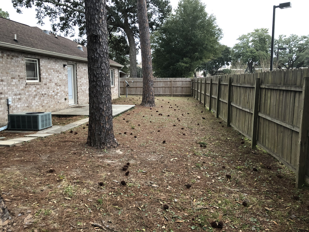 87142261-D9B4-4A2A-BA01-714D5DFB3A3A