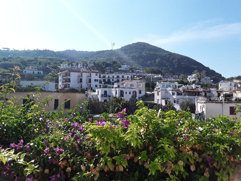 Italia y sus pueblos-2018/2019/2023 - Blogs de Italia - ISLA DE ISCHIA-21-9-2018 (175)