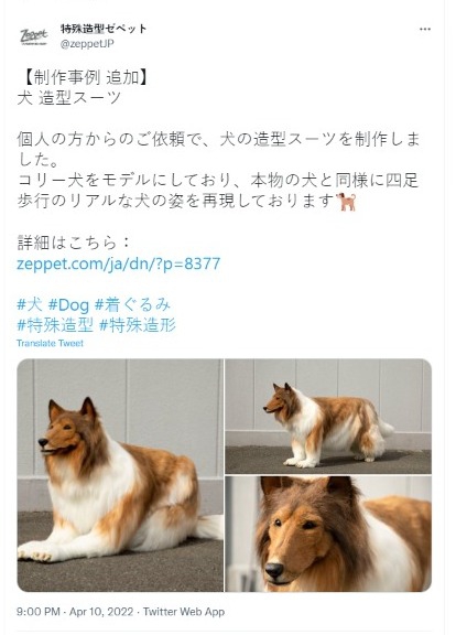 Youtuber japonés se convierte en su raza favorita de perro