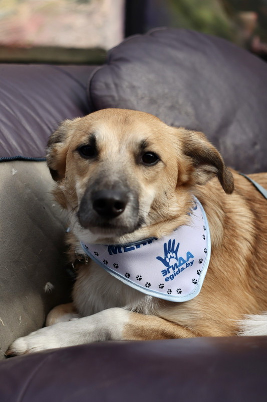 C976BE6F-07BC-4E4D-B0C0-70E66360EA29