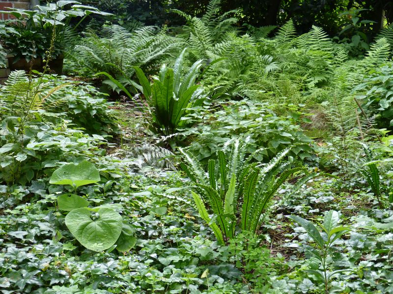 2014-07-13 Arboretum Härle 28