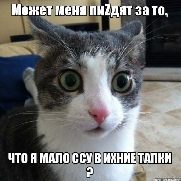 igmeyv.jpg