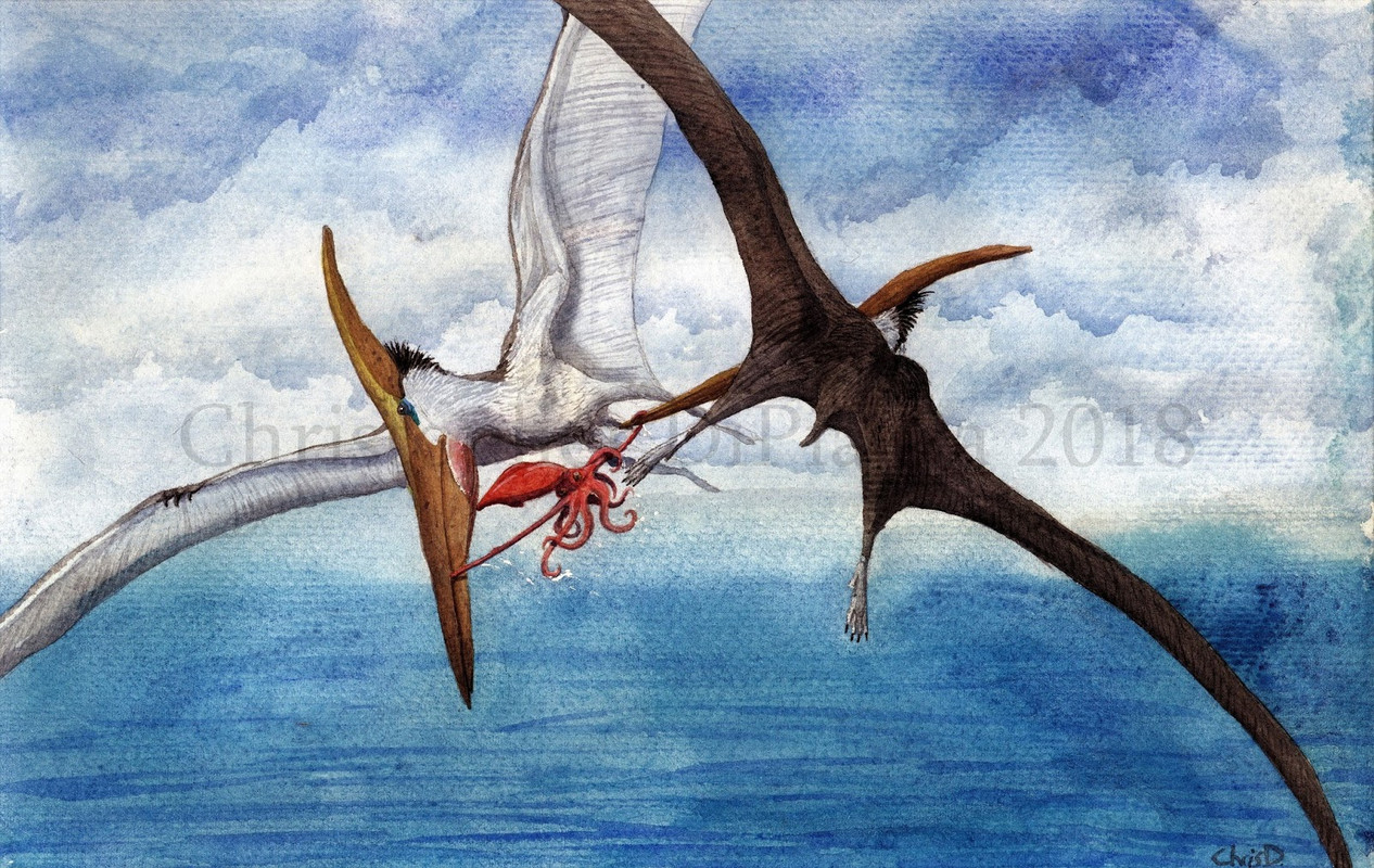 Pteranodon (2)
