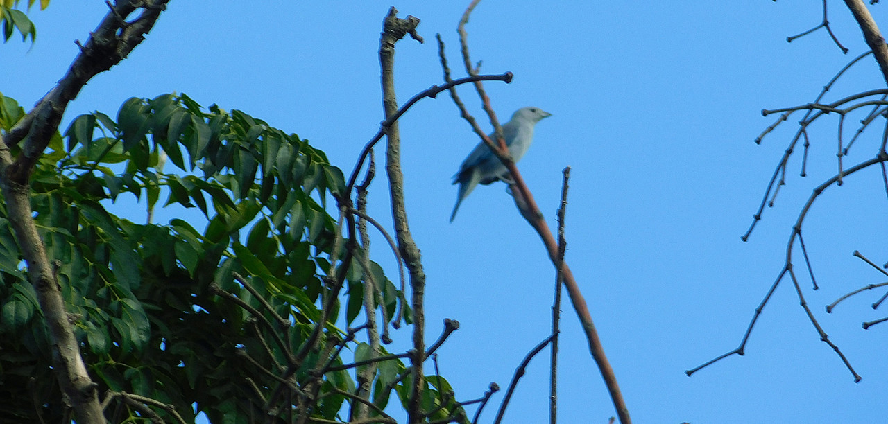 DSCN0128.jpg