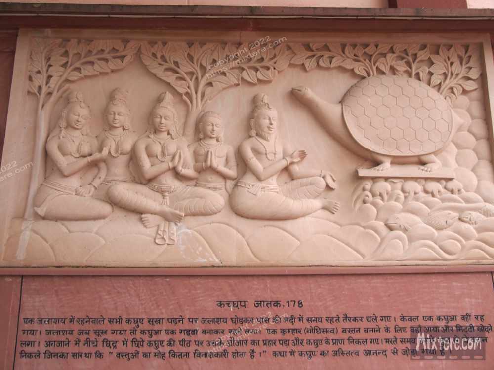 BBG&B13ByeBodhGaya - 7