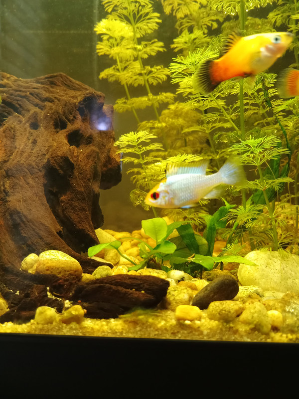 IMG_20240822_145917_442