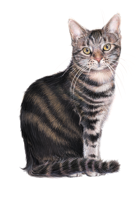 Nalle for camilla DONE FINAL for screen