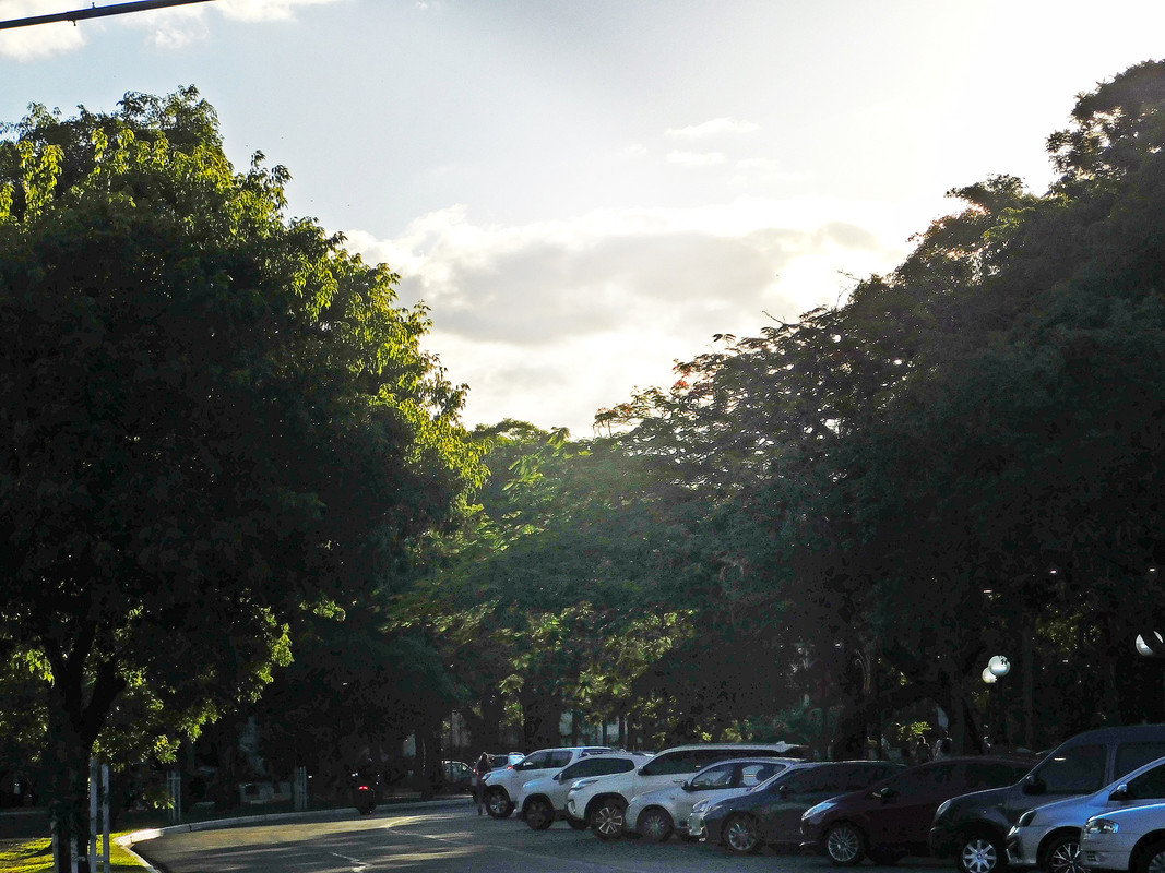 DSCN0311.jpg