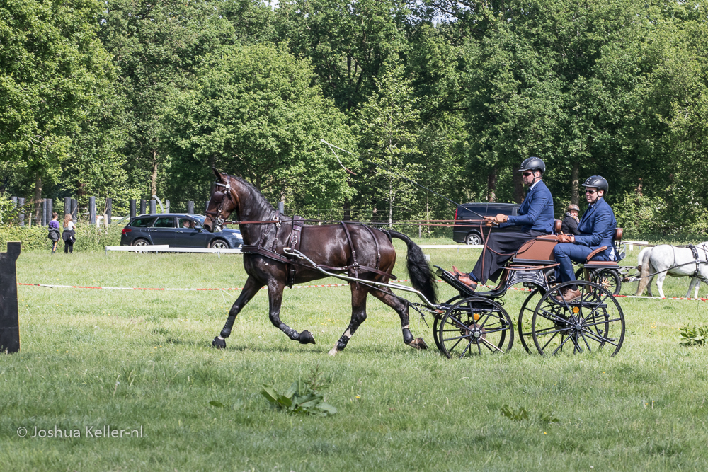 MG-9525vaardigheid-dressuur-nienoord-2022