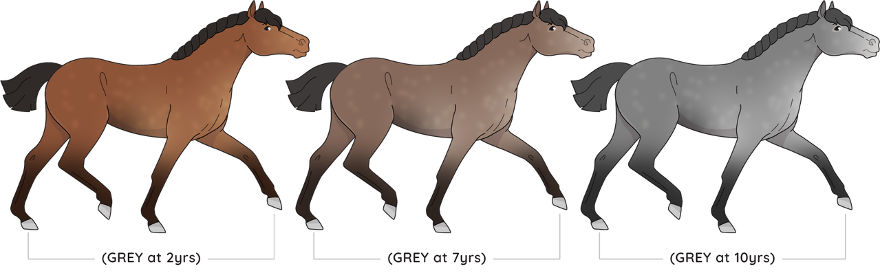 GDD Grey