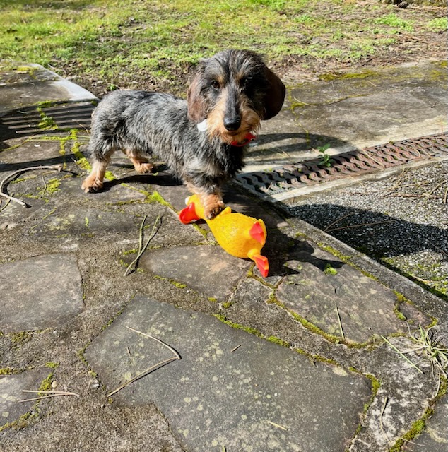 [Image: IMG-20250314-070519.jpg]