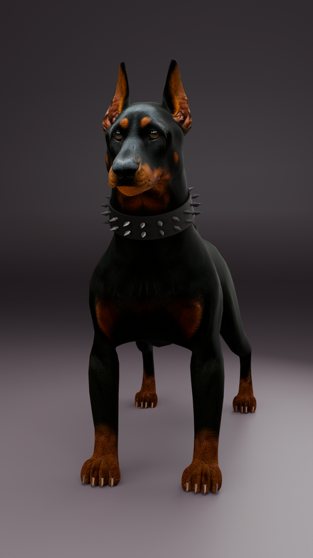 Doberman