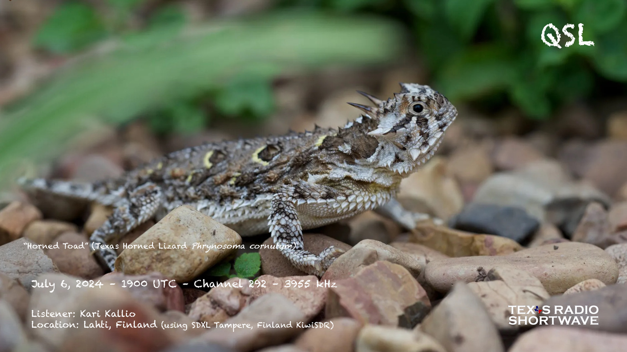 TRSW - Texas Music A To Z Hour 1 (3955kHz) QSL_Channel 292 - Kallio