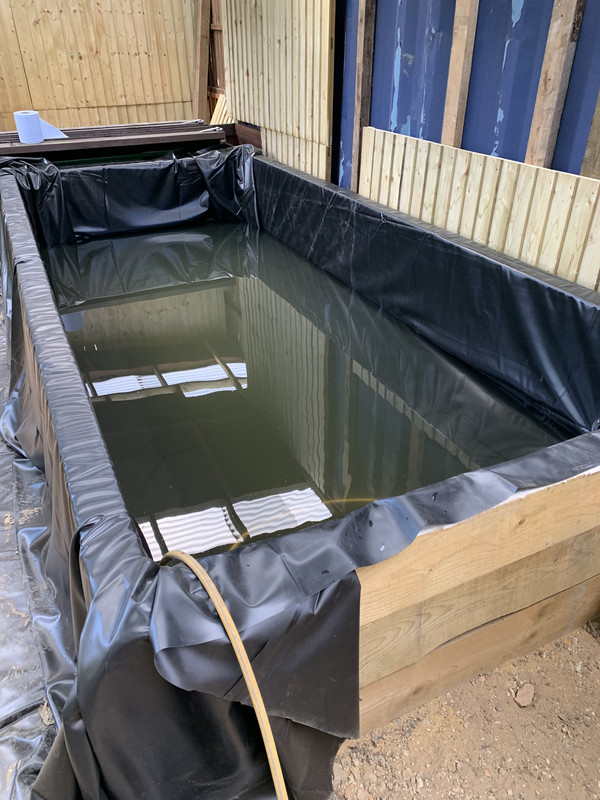 64B12047-E9DF-4D12-A282-9DE75DB0C72C