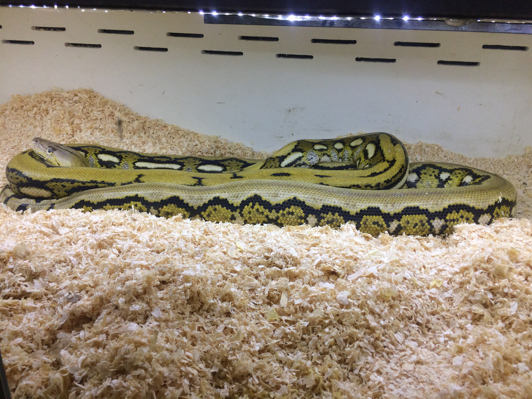 E865C1CB-DB4A-4E86-B74E-16E5BC68B175