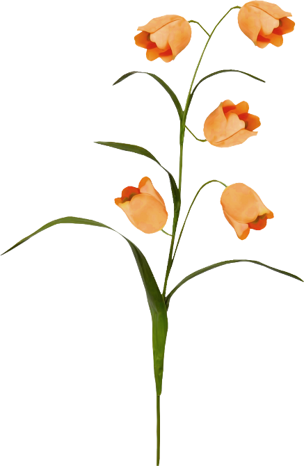 Autumn Witchery (119)