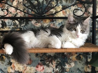 37A65E4C-0C5B-42A4-AC95-3DD319325293