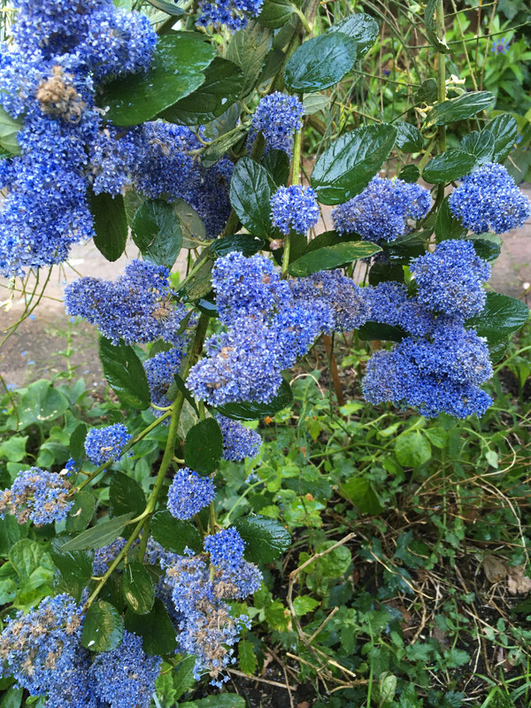 0E0B8C78-9570-4482-83FD-7E2121DE32D2