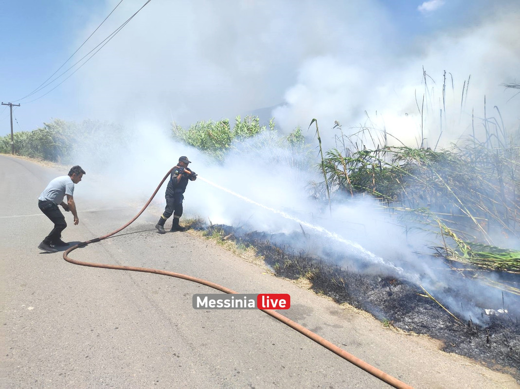 ARIS FOTIA εικόνα_Viber_2023-07-08_14-09-23-301