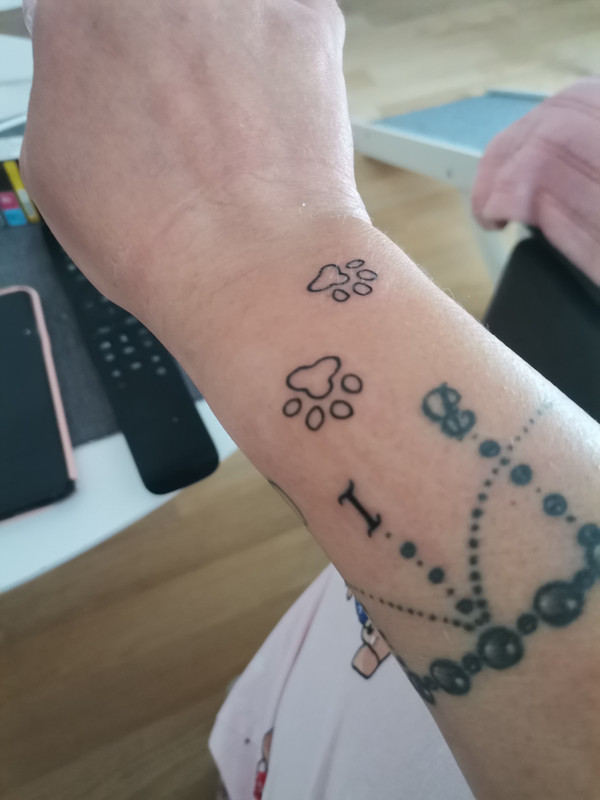 [Image: IMG-20240504-194931.jpg]