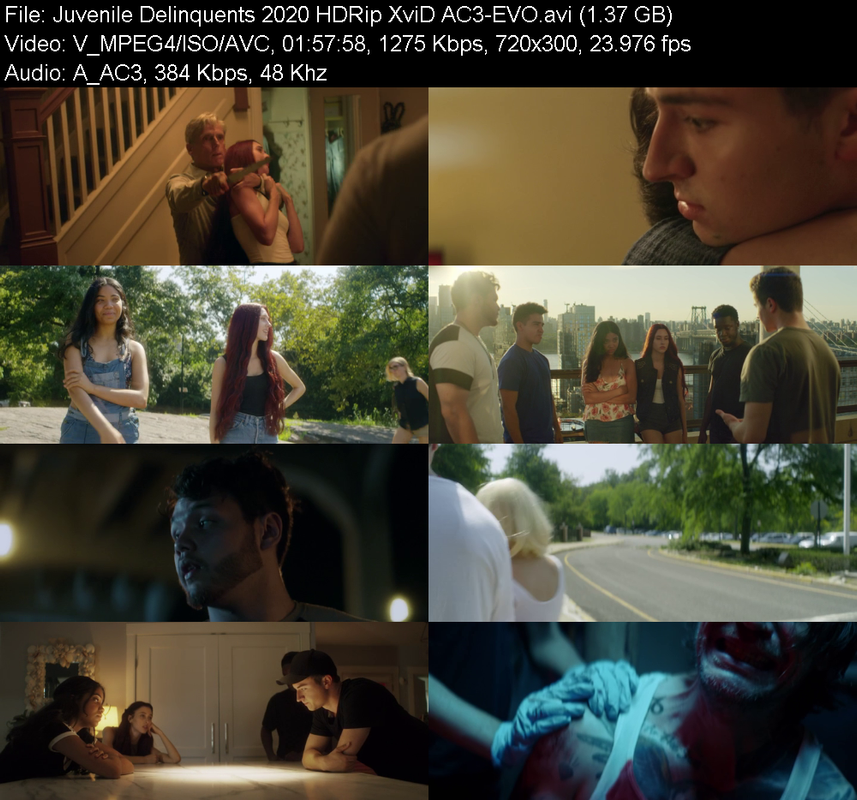 juvenile-delinquents-2020-hdrip-xvid-ac3