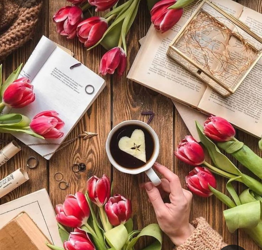 Screenshot_20230322_003111_Pinterest