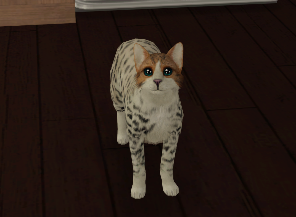 Sims2-EP9-RPC-2021-12-19-22-04-21-50