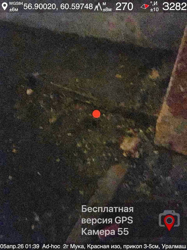 photo 10 2026 04 05 09 55 12