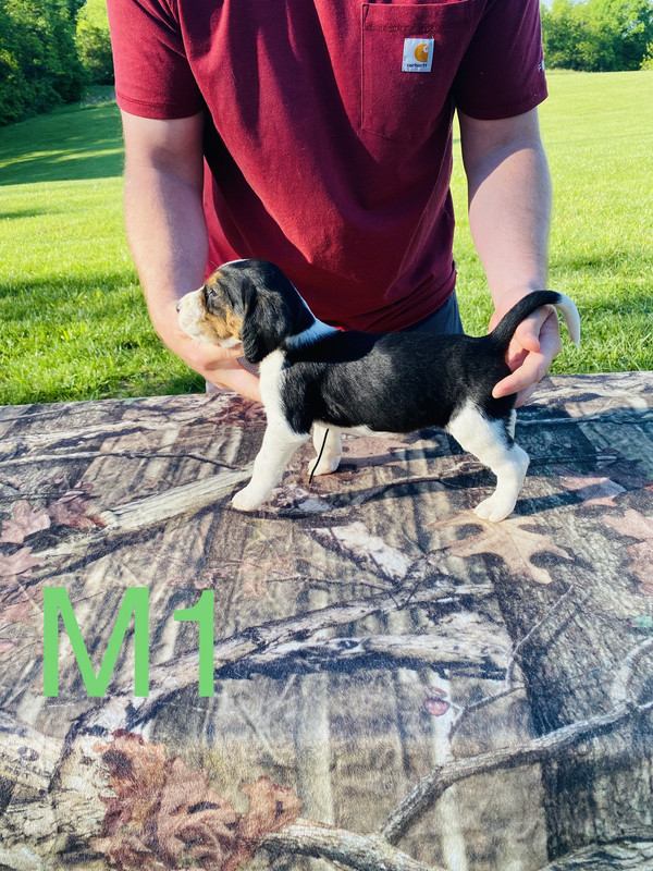 8110D211-8F88-425B-8635-5DBAF2496769