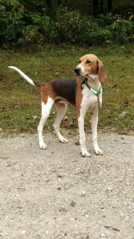 860DBB8C-1E02-45B1-A32E-2CE28BCCB484