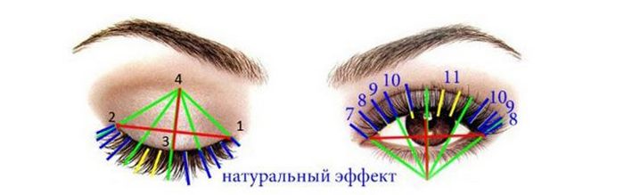 Эффекты наращивания ресниц. Схемы, фото с названиями, как подбирать по форме глаз