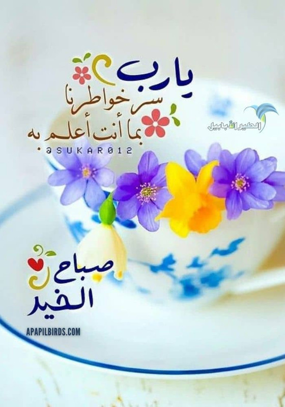 احدث-واجمل-بطاقات-صباح-الخير